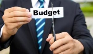 Business budget