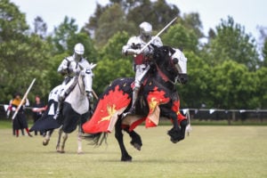 knights, joust, horse