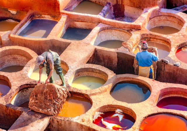 The tanneries of Fez, Morocco